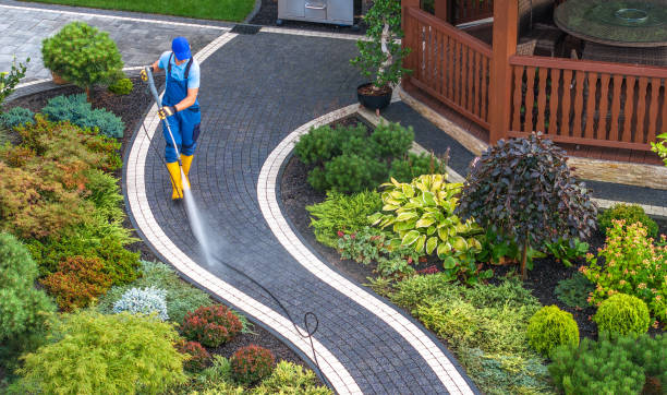 Best Local Pressure Washing Services  in Atlantis, FL